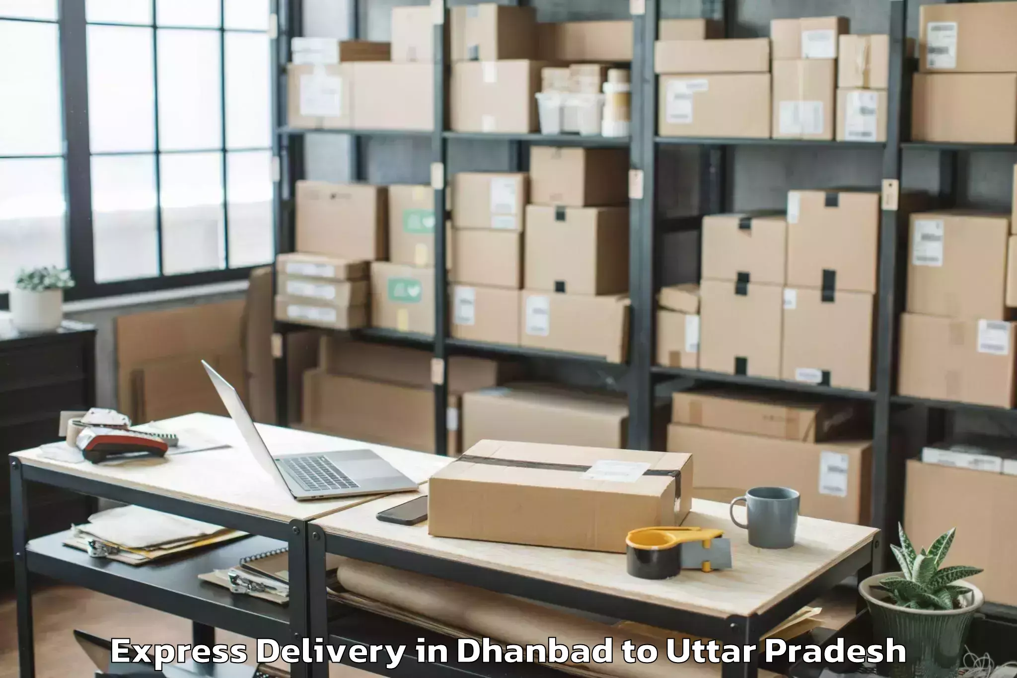 Professional Dhanbad to Phoenix United Mall Bareily Express Delivery